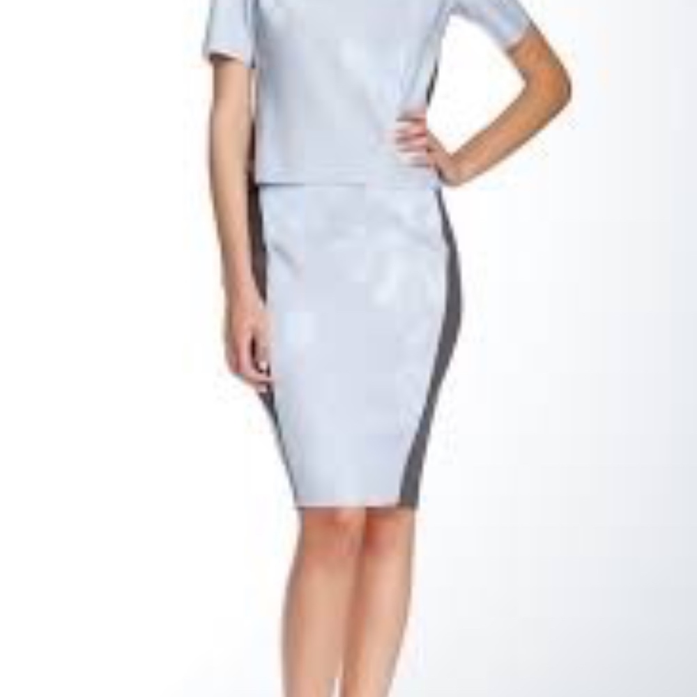 T Tahari stretch top and pencil skirt